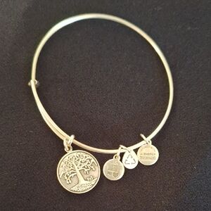 Alex And Ani Silver Tree of Life Charm Bracelet